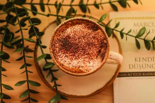 Mode durable : Innovations écologiques pour lutter contre le plastique